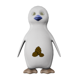 G5F/CBB/LBFT/BFG/4T - front view