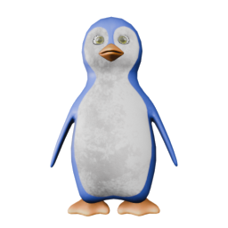 Claudio - front view