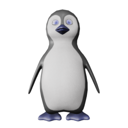 Niccolo - front view