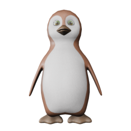 Claudio - front view