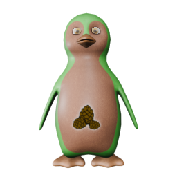 G3 DirOrg Feet - front view