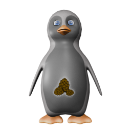 Frannie - front view