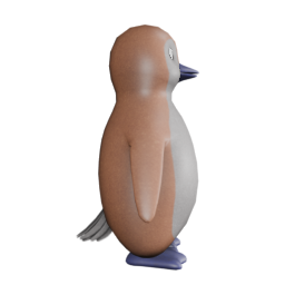 Blue feet & Beak - side view